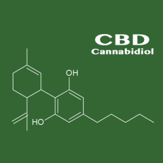 CBD - Cannabidiol